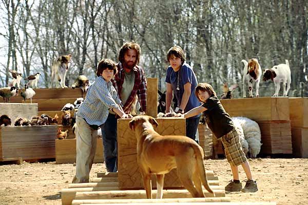 Evan allmächtig : Bild