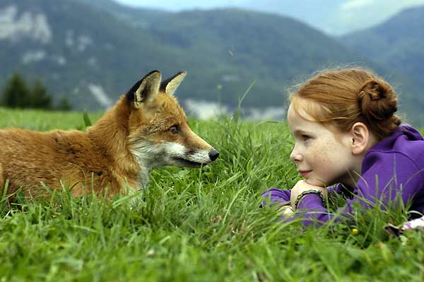 Der Fuchs und das Mädchen : Bild Bertille Noël-Bruneau