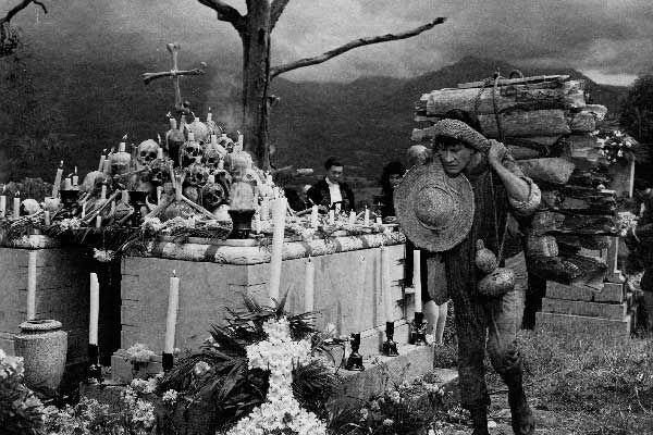 Bild Roberto Gavaldón