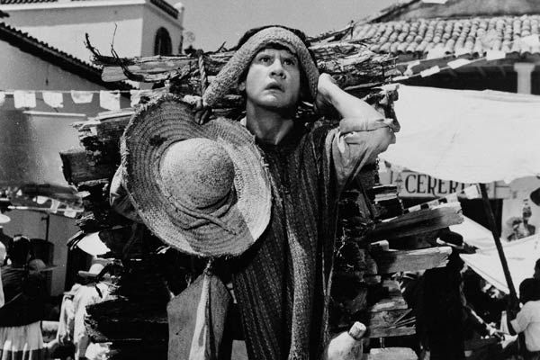 Bild Roberto Gavaldón