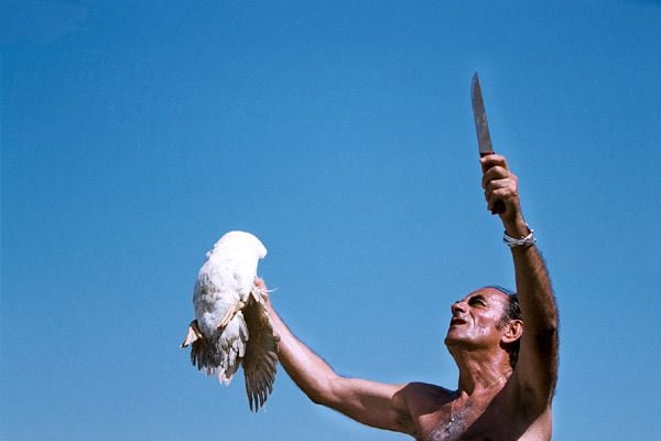 A City Is Beautiful at Night : Bild Richard Bohringer