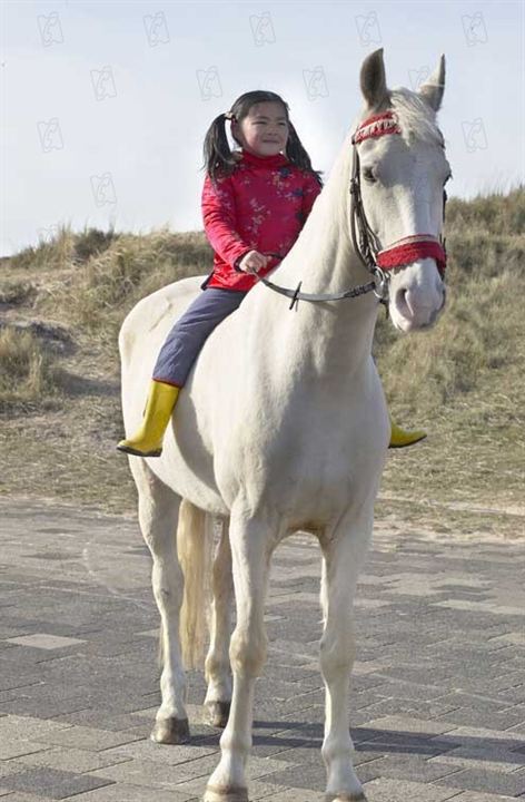 Ein Pferd für Winky : Bild Ebbie Tam, Mischa Kamp