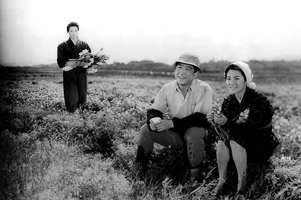 Iwashigumo : Bild Chikage Awashima, Isao Kimura, Mikio Naruse