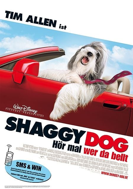 The Shaggy Dog : Kinoposter