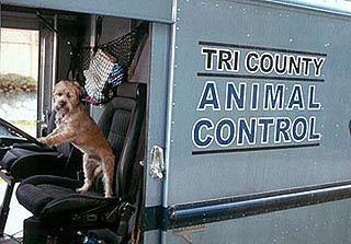 In tierischer Mission : Bild