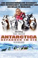 Antarctica - Gefangen im Eis : Kinoposter