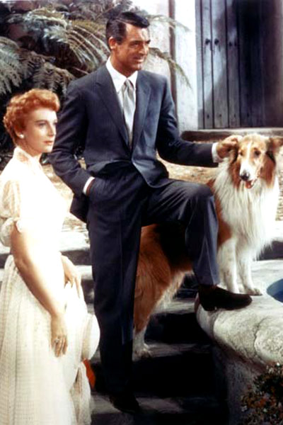 Die große Liebe meines Lebens : Bild Leo McCarey, Deborah Kerr, Cary Grant
