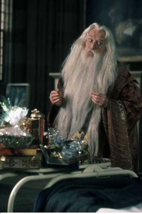 Harry Potter und der Stein der Weisen : Bild Richard Harris, Chris Columbus