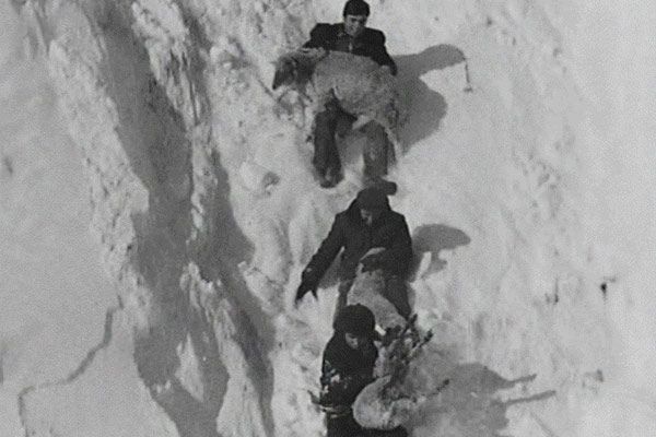 Bild Artavazd Pelechian