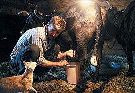 Hippie Masala - Für immer Indien : Bild