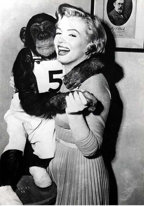 Liebling, ich werde jünger : Bild Howard Hawks, Marilyn Monroe