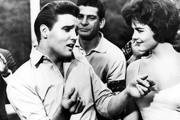 Kid Galahad - Harte Fäuste, heiße Liebe : Bild Elvis Presley, Phil Karlson