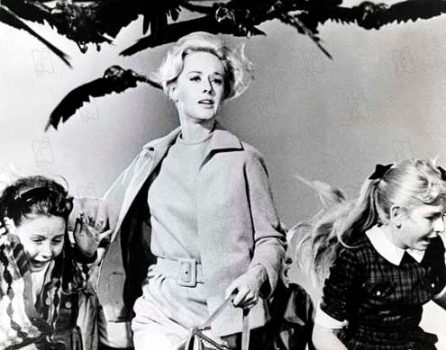 Die Vögel : Bild Tippi Hedren