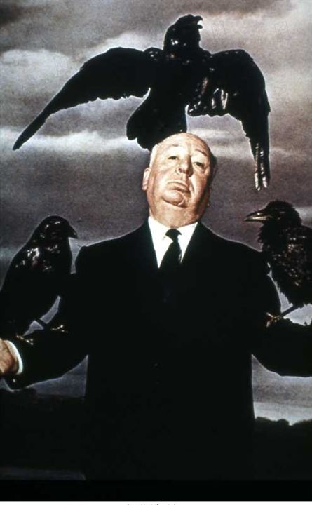 Die Vögel : Bild Alfred Hitchcock