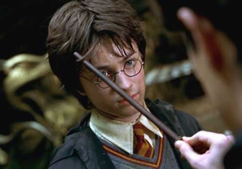 Harry Potter und die Kammer des Schreckens : Bild Chris Columbus, Daniel Radcliffe