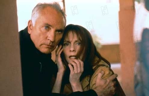 The Limey : Bild Steven Soderbergh, Lesley Ann Warren, Terence Stamp