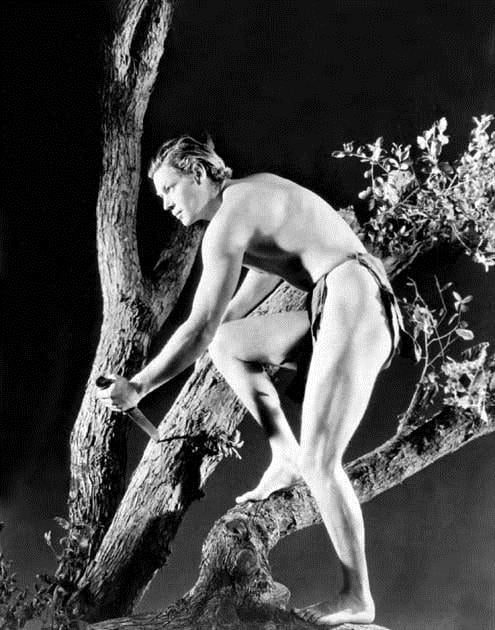 Tarzan, der Affenmensch : Bild Johnny Weissmuller, W.S. Van Dyke