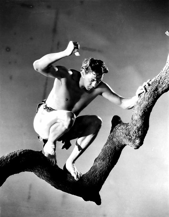 Tarzan, der Affenmensch : Bild