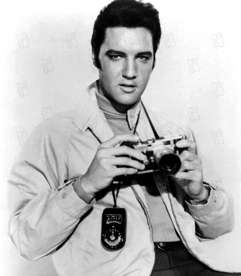 Liebling, laß das Lügen : Bild Elvis Presley, Norman Taurog