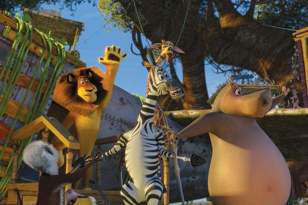 Madagascar 2 : Bild