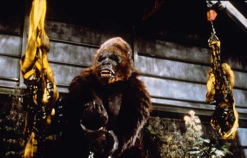 King Kong lebt : Bild John Guillermin