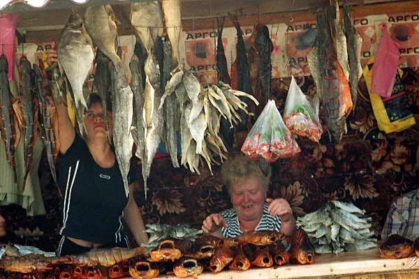 Primo Levis Reise : Bild Davide Ferrario