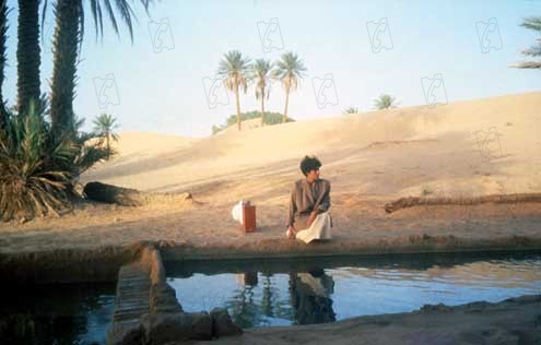 Der Himmel über der Wüste : Bild Debra Winger, Bernardo Bertolucci