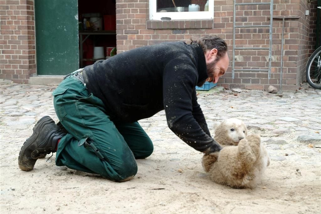 Knut und seine Freunde : Bild