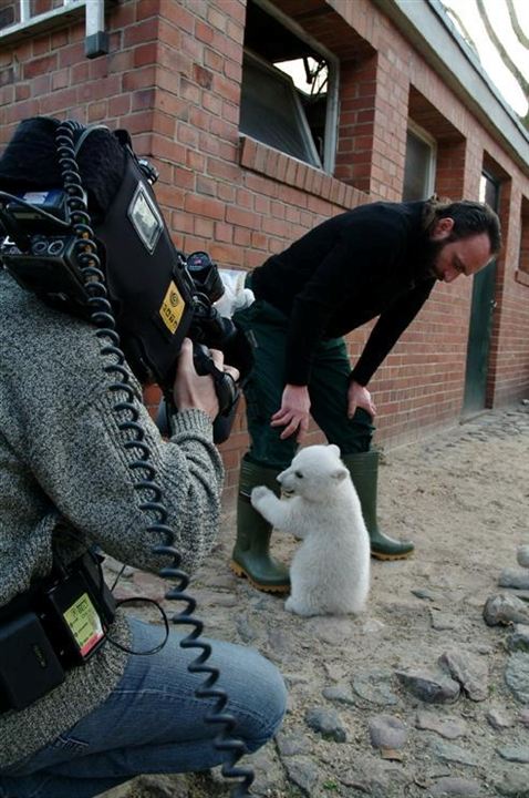 Knut und seine Freunde : Bild