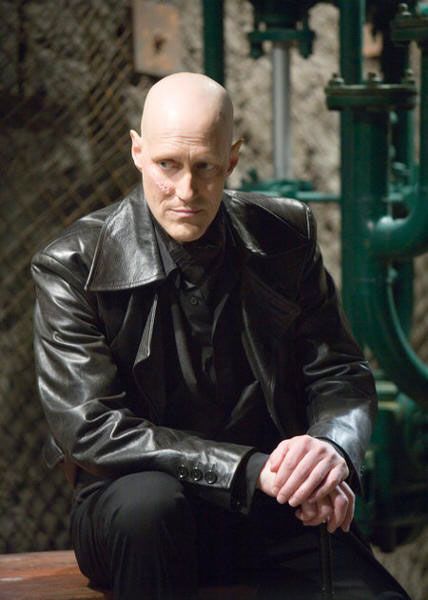 Bild Christopher Heyerdahl