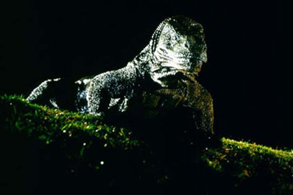 Bild Michael Lantieri