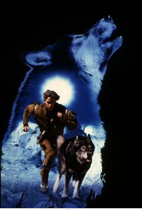 Wolfsblut 2 - Das Geheimnis des weißen Wolfes : Kinoposter Scott Bairstow