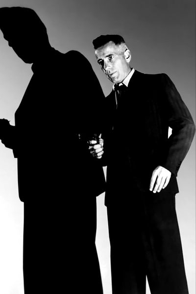 Entscheidung in der Sierra : Bild