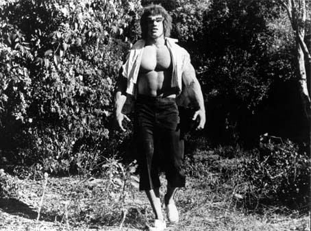 Bild Lou Ferrigno