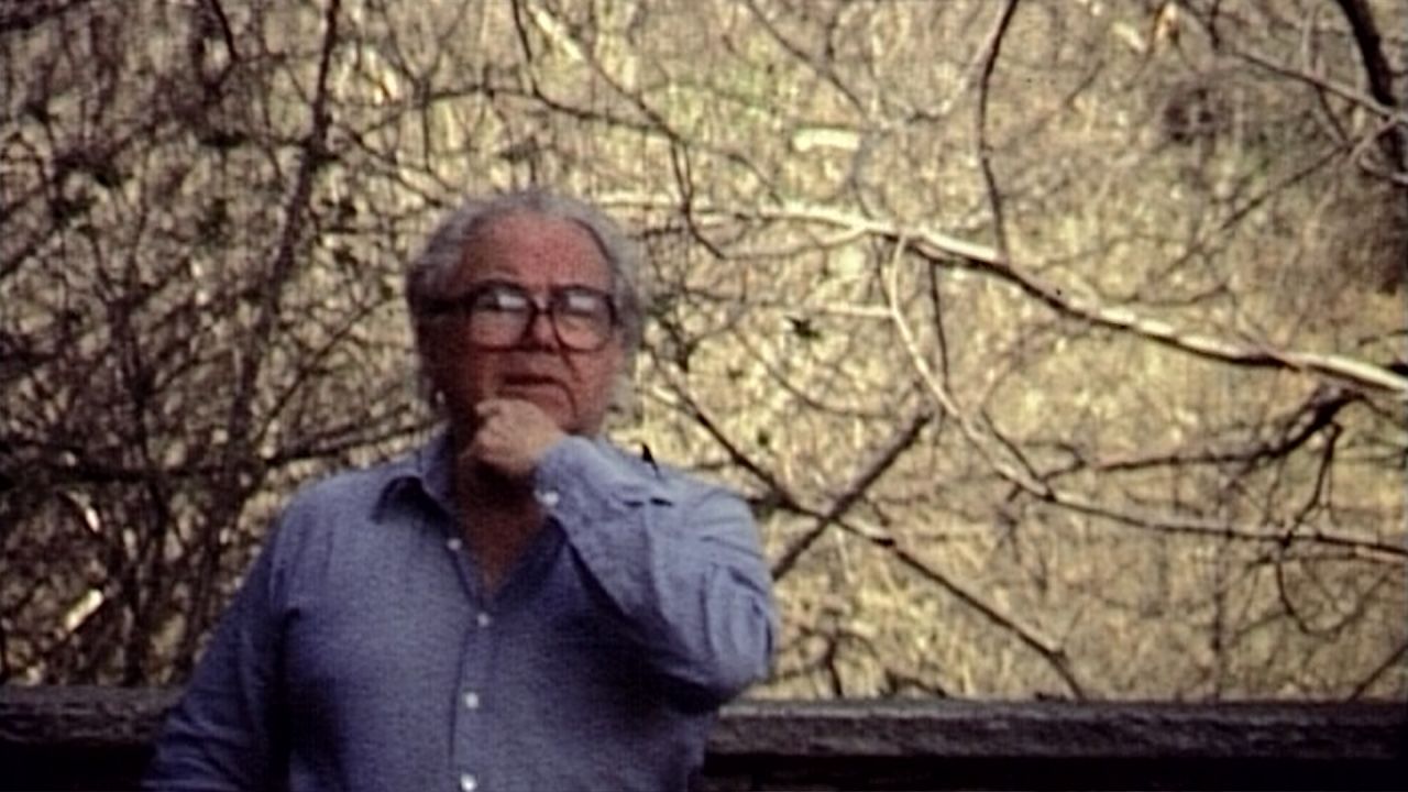 Max Frisch, Citoyen : Bild