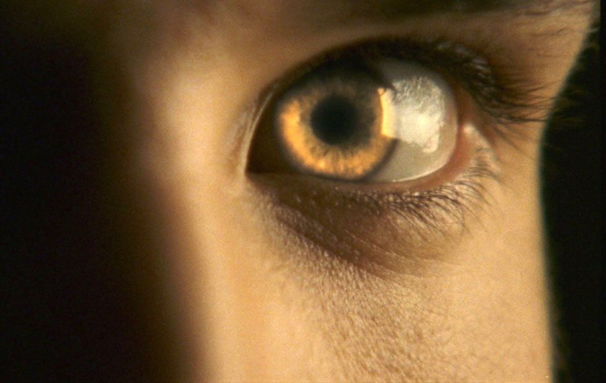 Bild Colin Morgan (II)