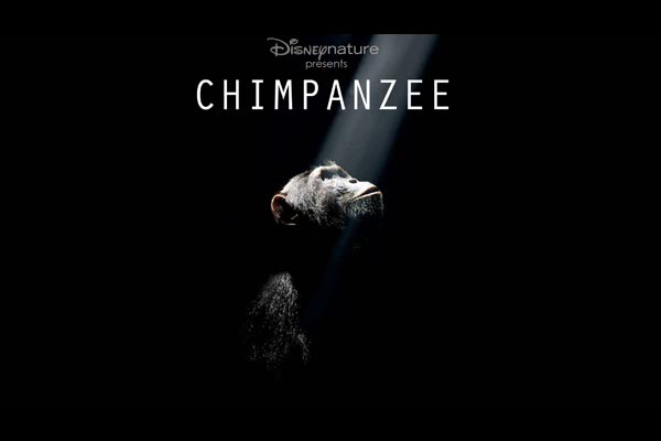 Schimpansen : Bild Mark Linfield, Alastair Fothergill