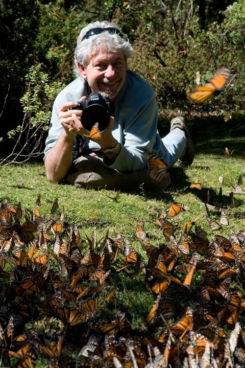 Wings of Life : Bild Louie Schwartzberg