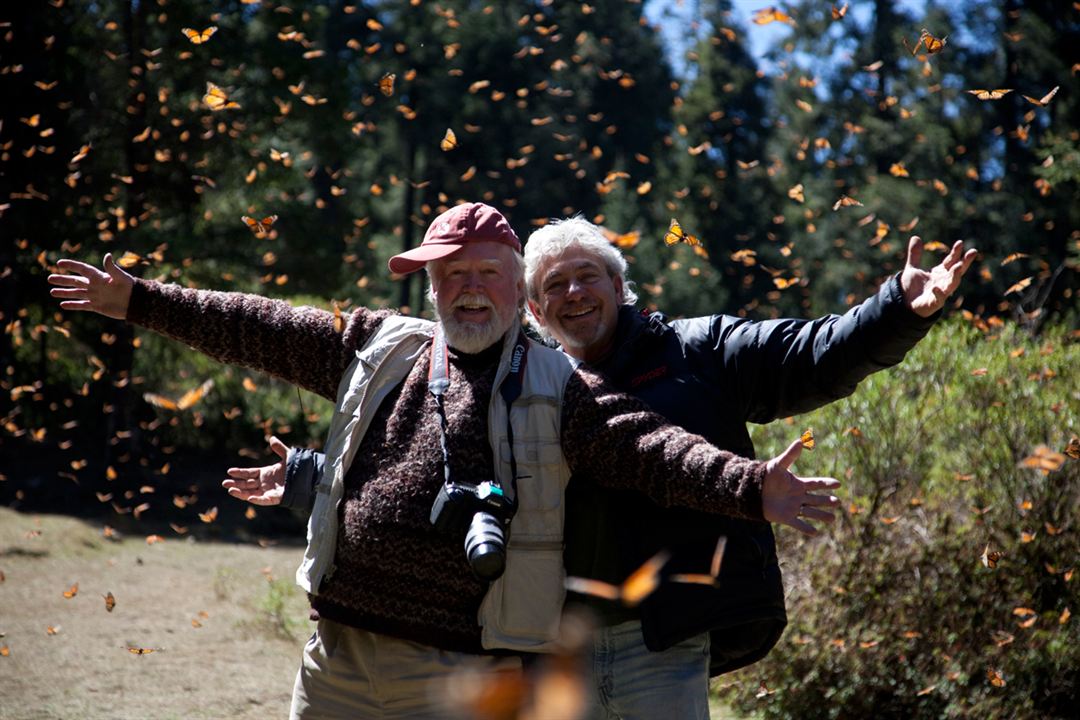 Wings of Life : Bild Louie Schwartzberg