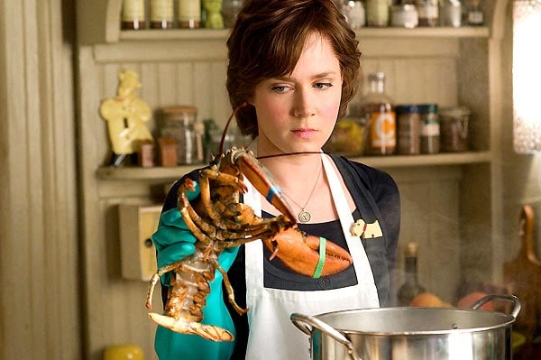 Julie & Julia : Bild Amy Adams, Nora Ephron