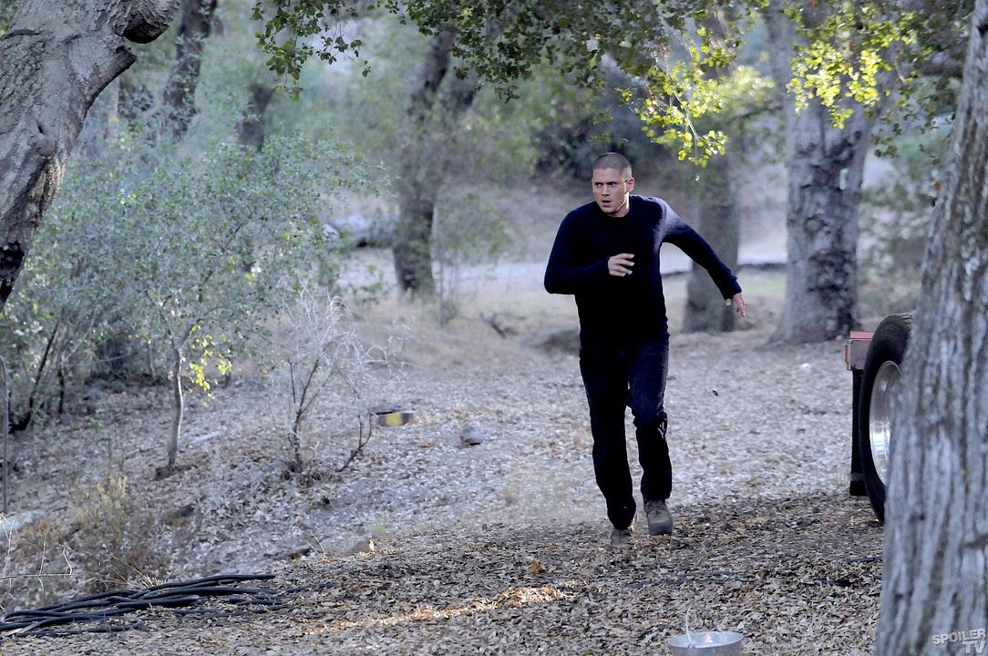 Bild Wentworth Miller