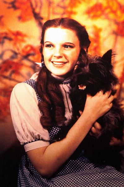 Der Zauberer von Oz : Bild Judy Garland, Victor Fleming