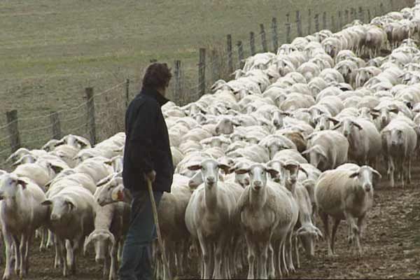 Bild Catherine Pozzo Di Borgo