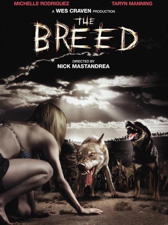 The Breed - Blutige Meute : Kinoposter Nicholas Mastandrea