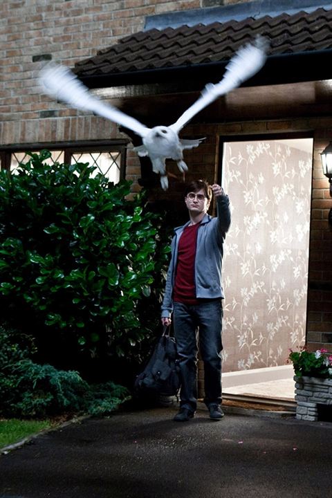 Harry Potter und die Heiligtümer des Todes - Teil 1 : Bild Daniel Radcliffe