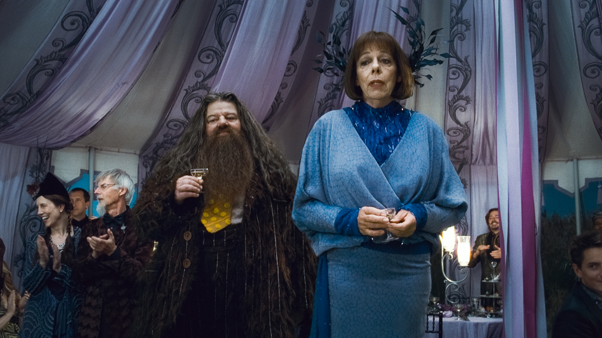 Harry Potter und die Heiligtümer des Todes - Teil 1 : Bild Frances de la Tour, Robbie Coltrane