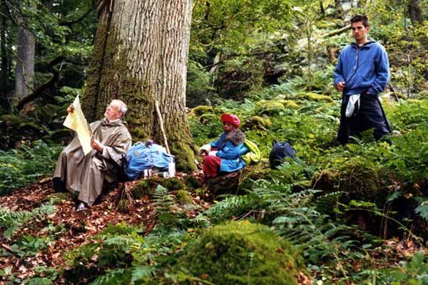 IP5 - Insel der Dickhäuter : Bild