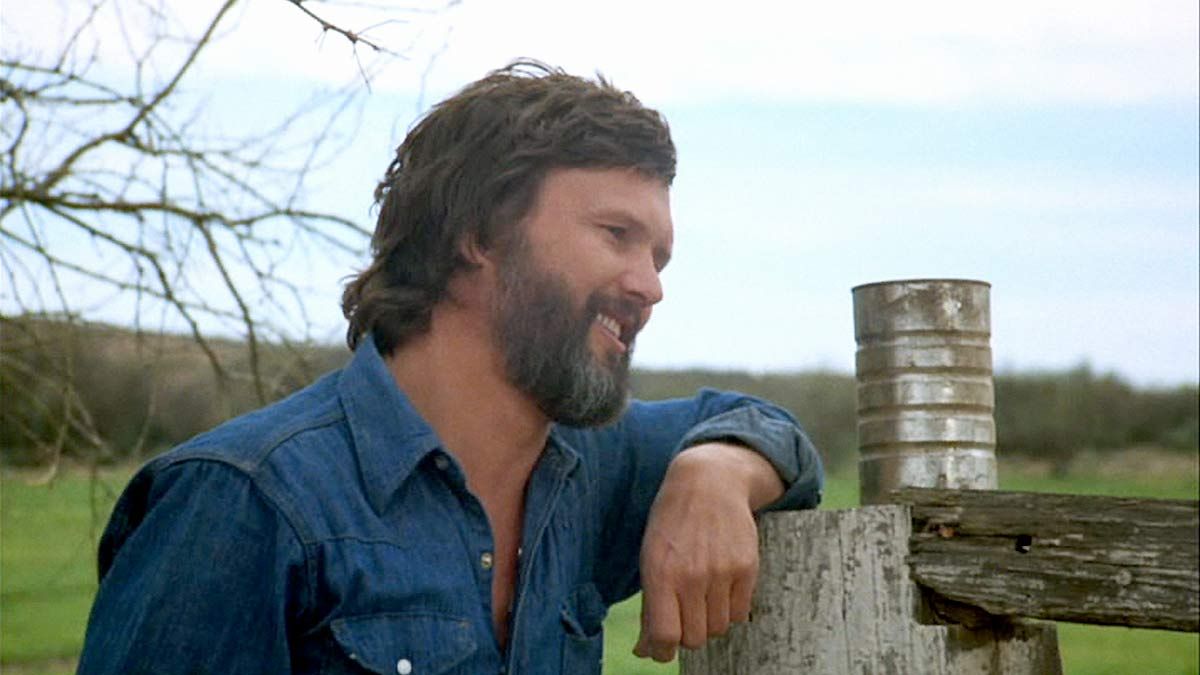 Alice lebt hier nicht mehr : Bild