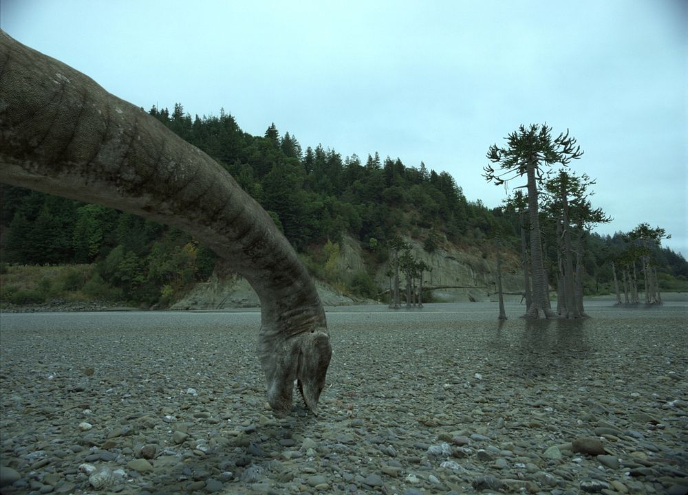 Dinosaurier Live 3D - Fossilien zum Leben erweckt : Bild