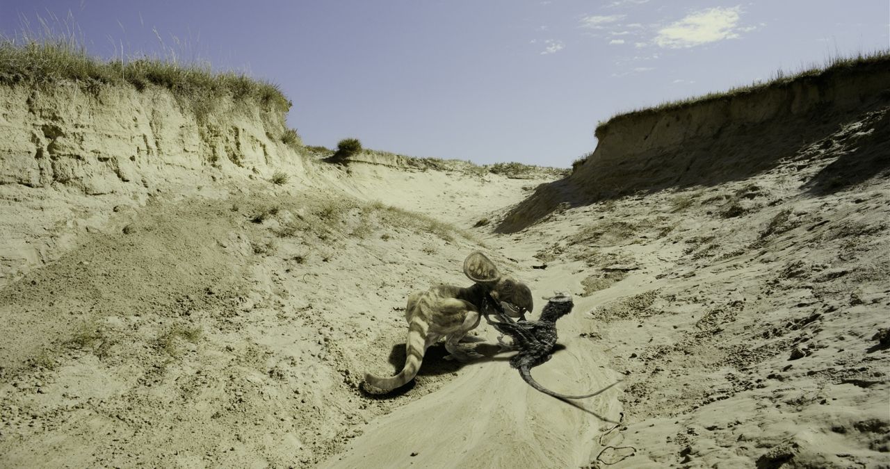 Dinosaurier Live 3D - Fossilien zum Leben erweckt : Bild
